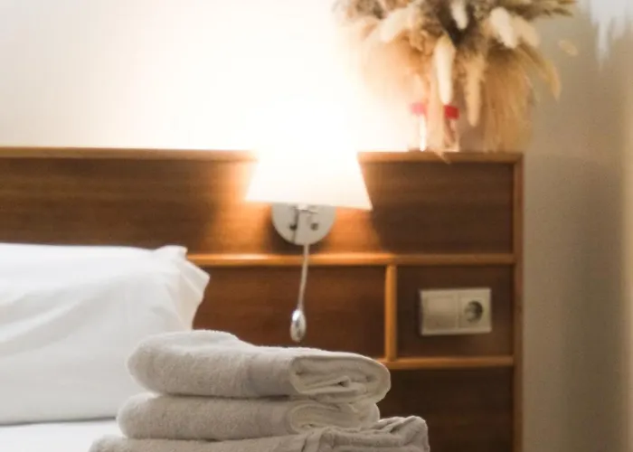 阿尔特膳食旅馆 2*